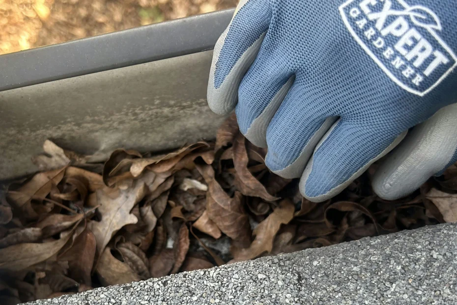 Gutter Cleaning Broken Arrow